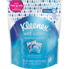 WIPE,WET,GENTLE,POUCH