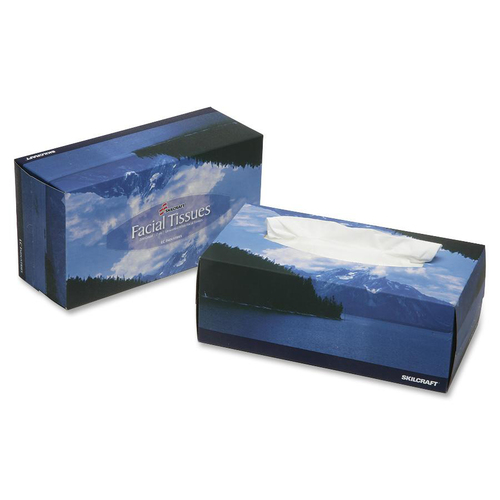 Facial Tissues, 2-Ply, 100/Box, 10 Boxes/PK, White