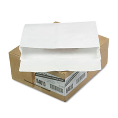 Tyvek Expansion Envelope,14Lb,10"x13"x2",100/CT,White