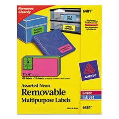 Laser/Inkjet Labels, Remvbl, 10UP, 2"x4", 120/PK, NE/AST