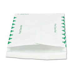 Tyvek Open-End Envelope,1st Class,10"x13"x1-1/2",100/CT,WE