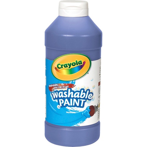 PAINT,WSHBL,16OZ,BE